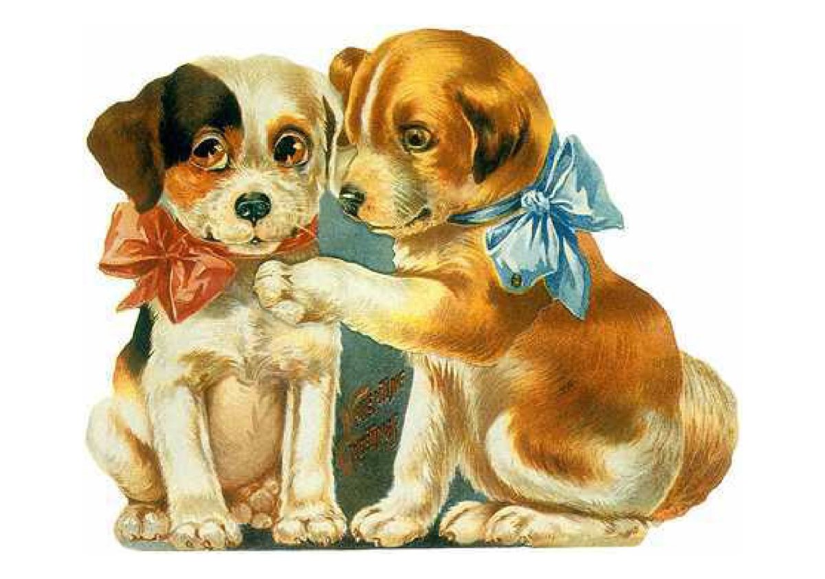 Две собачки картинка для детей