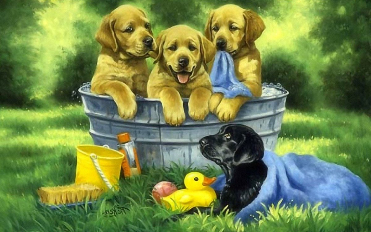 Сердце из собачек арт милые