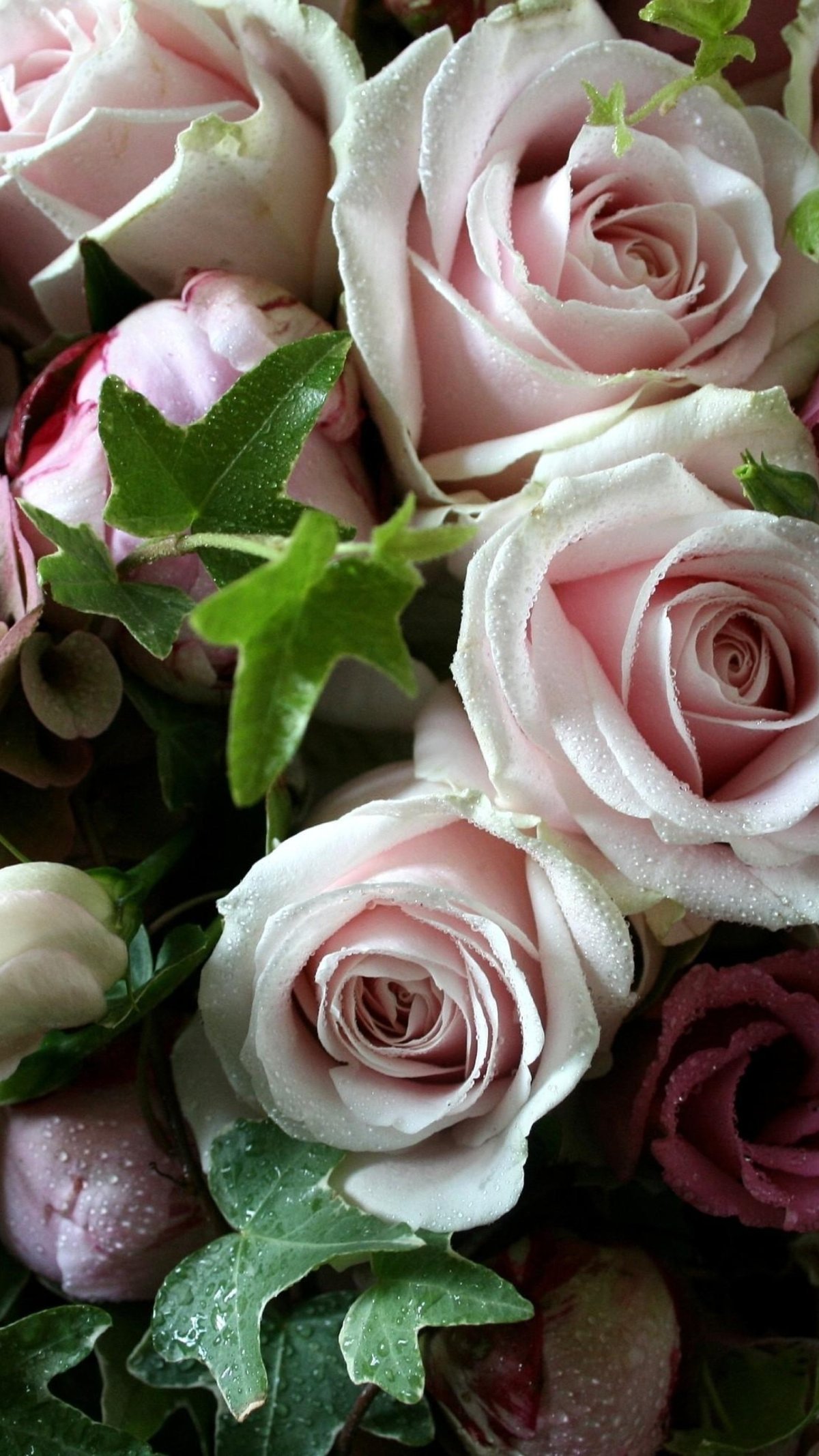 Розы на голубом фоне