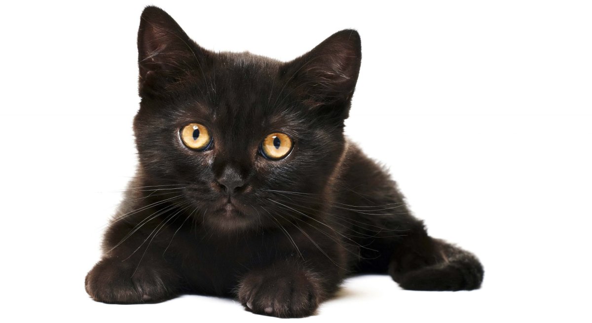 Обои на рабочий стол нарисованные