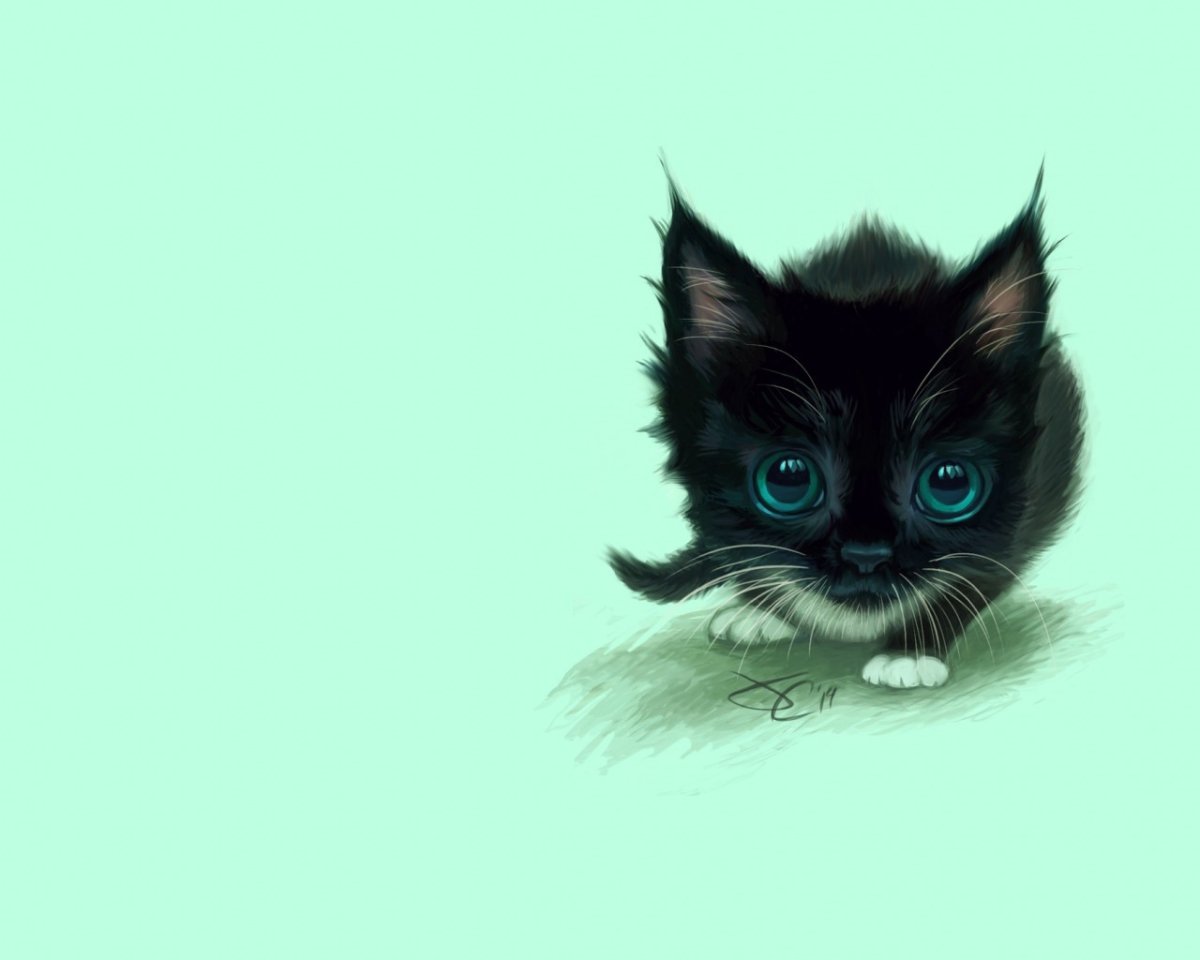 Черный котенок на белом фоне