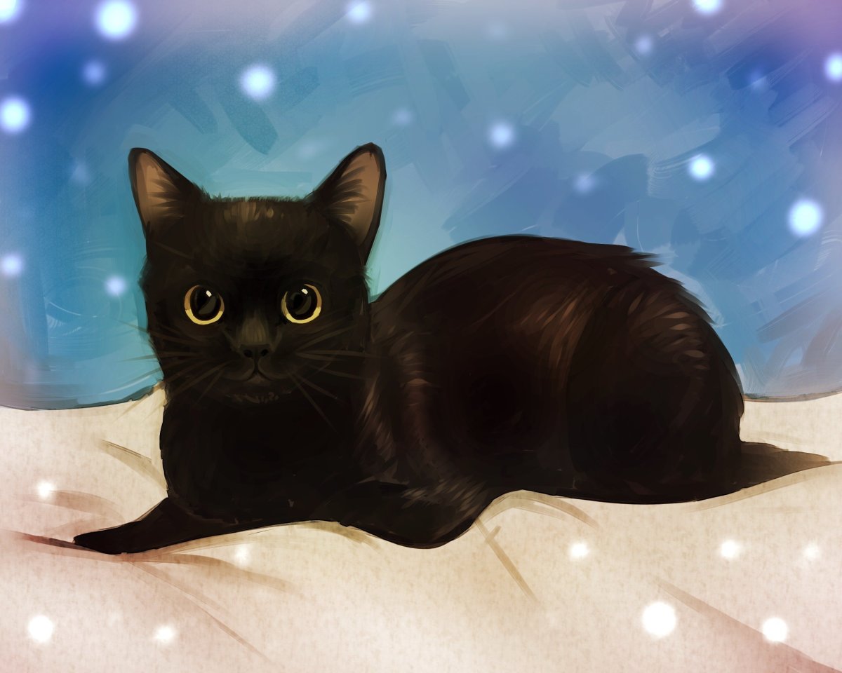 Чёрный кот арт
