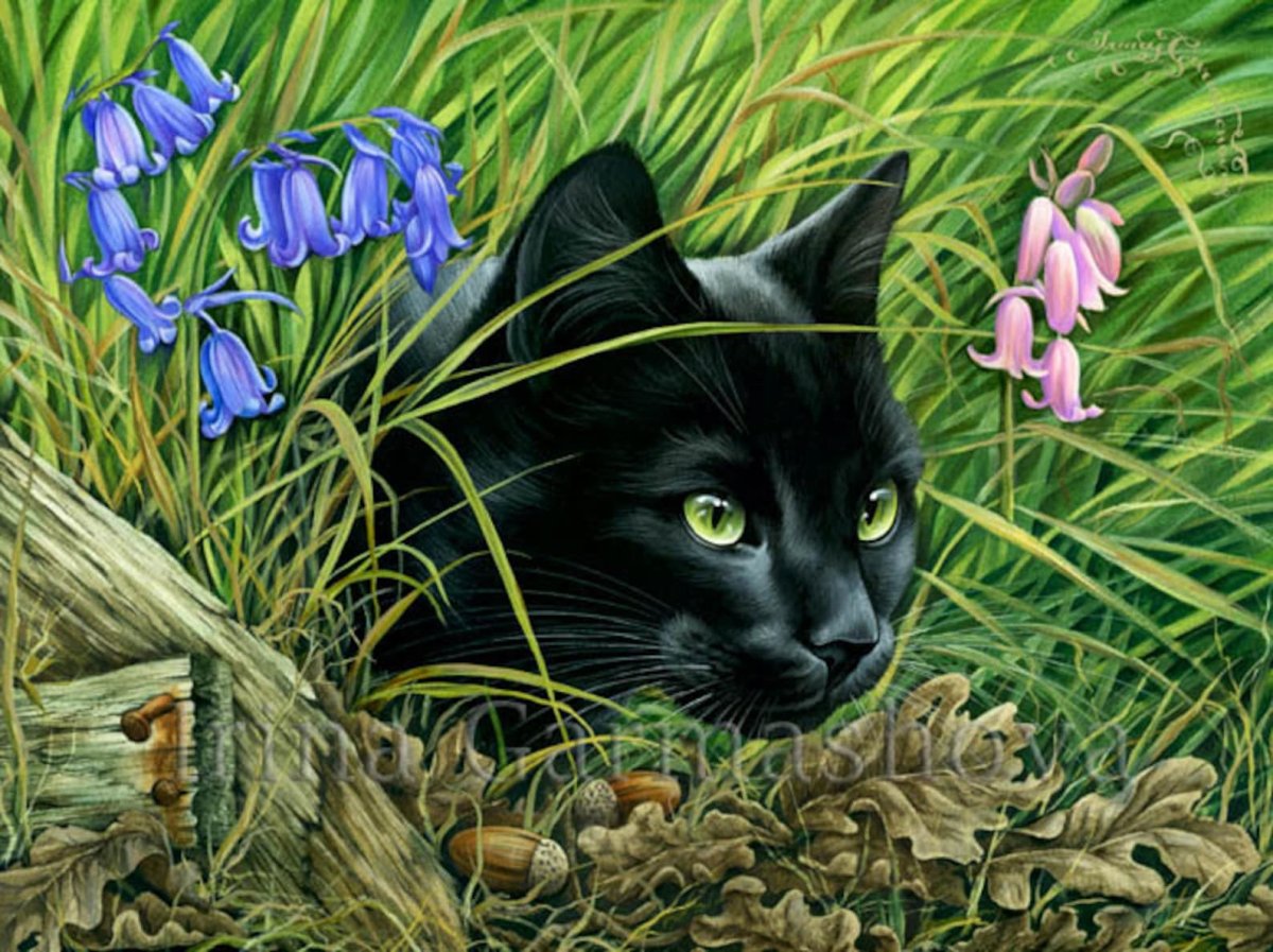 Рихард Донскис художник