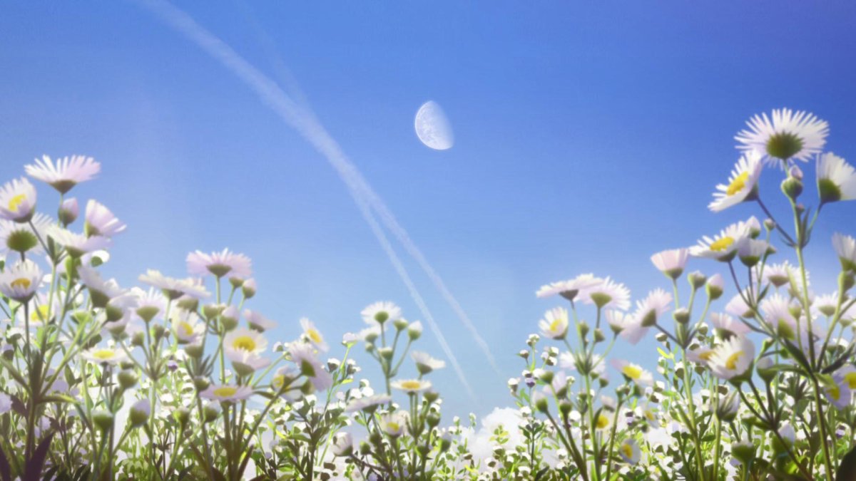 Здравствуй мир Постер