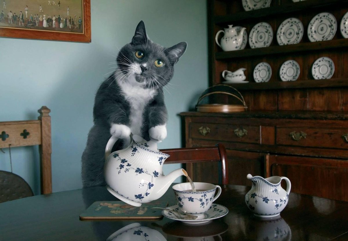 Романтическое чаепитие