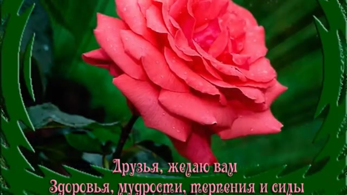 Пожелания хорошего дня и здоровья