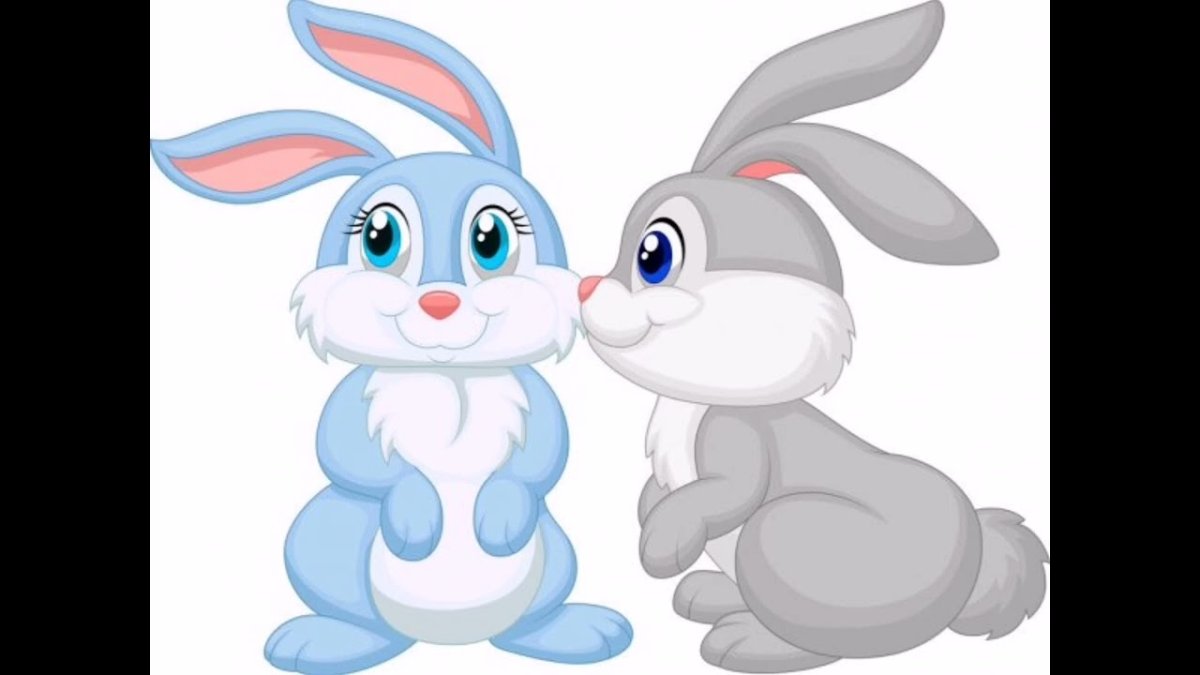 Rabbit cartoon short Уфы