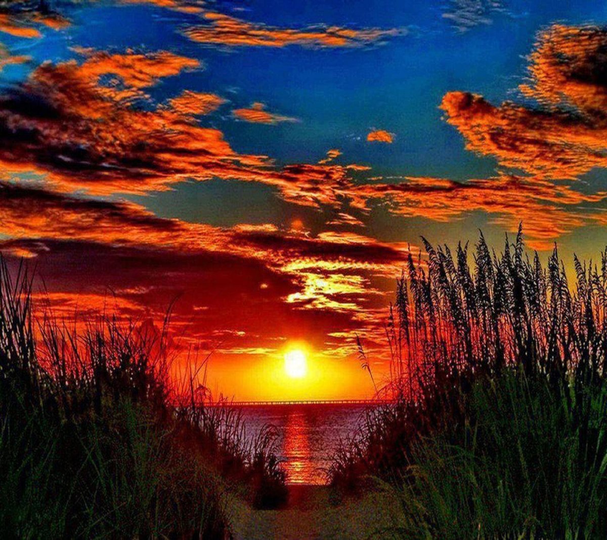 Природа закат