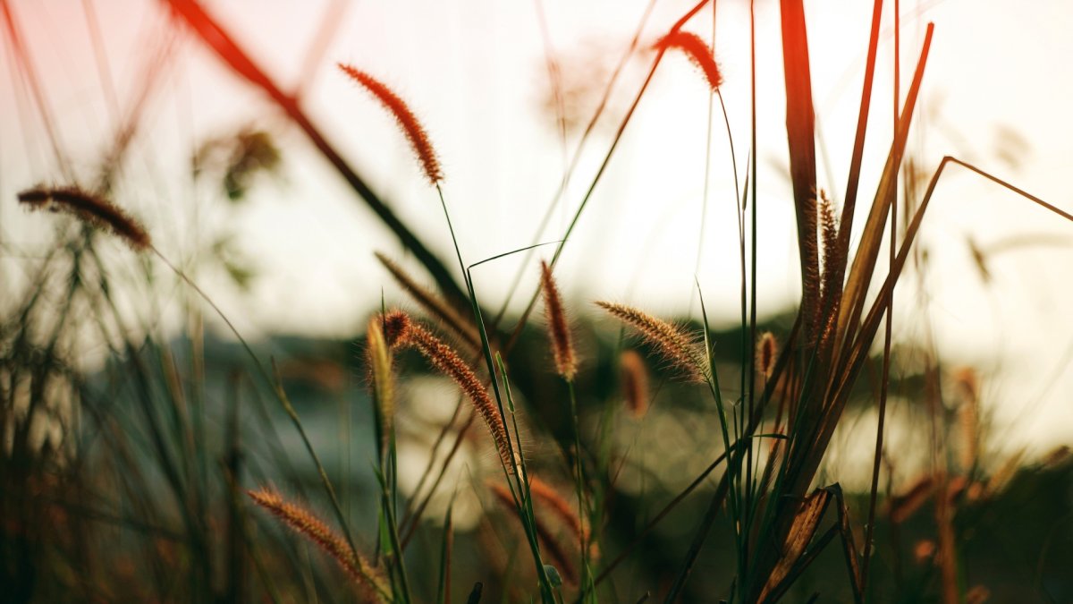 Обои на рабочий стол эстетичные