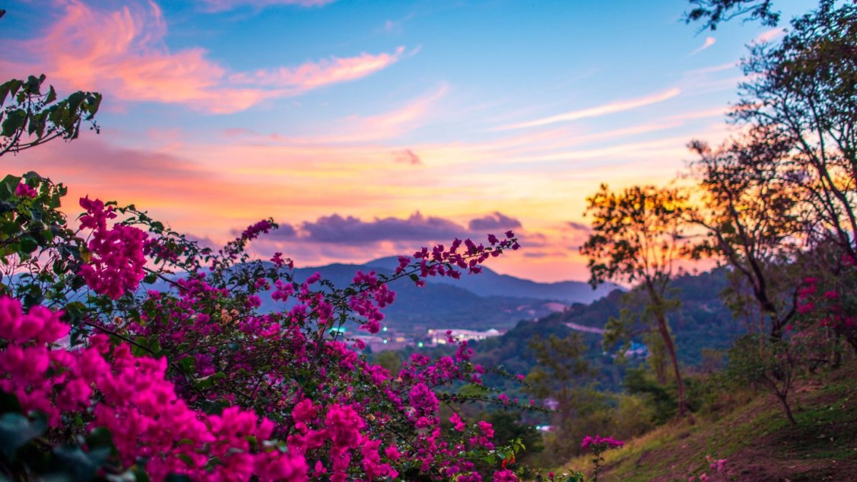 Пейзажи природы