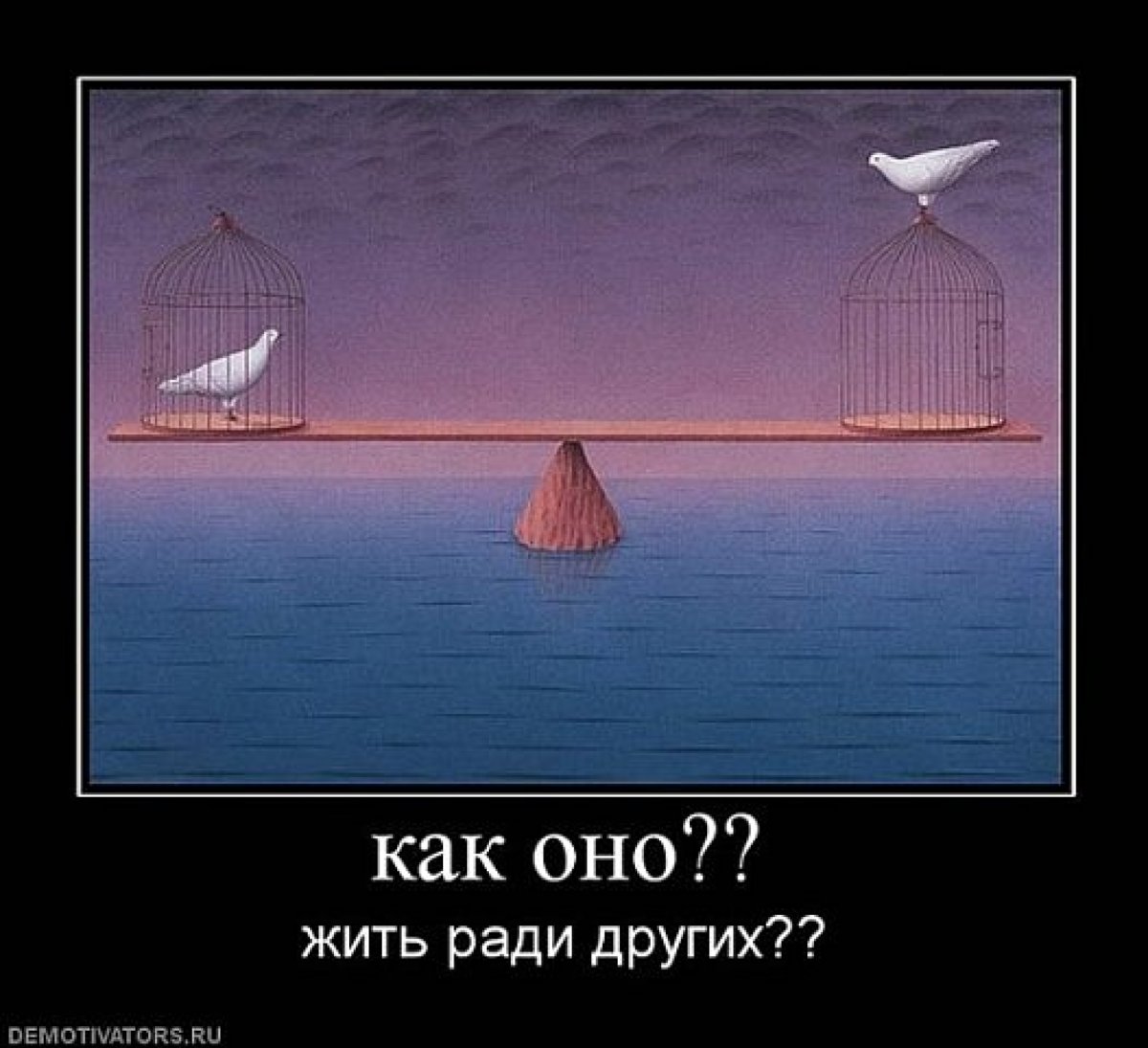 А ты бы улетел