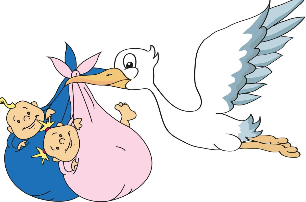 Аист с новорожденным