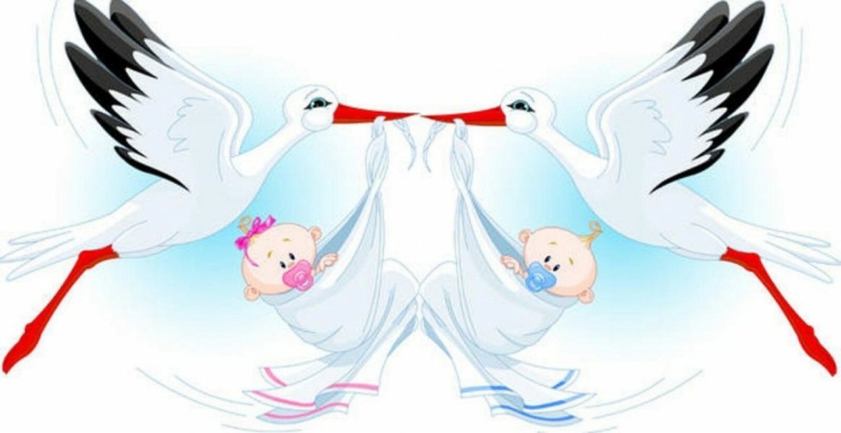 С рождением двойняшек