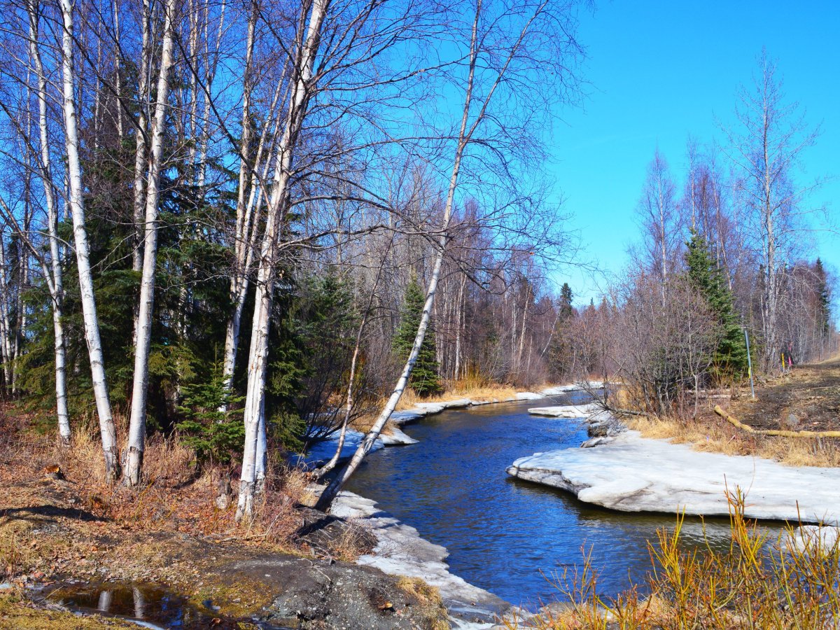 Левитан река (ранняя Весна)