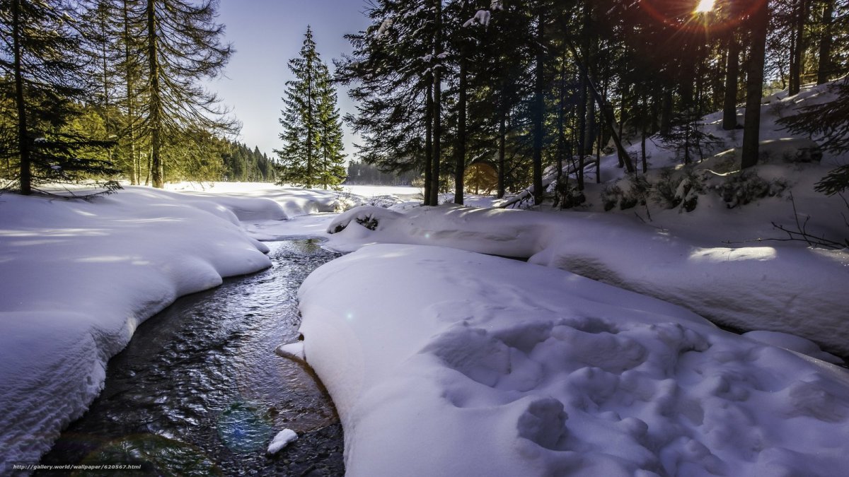 Весенние ручьи