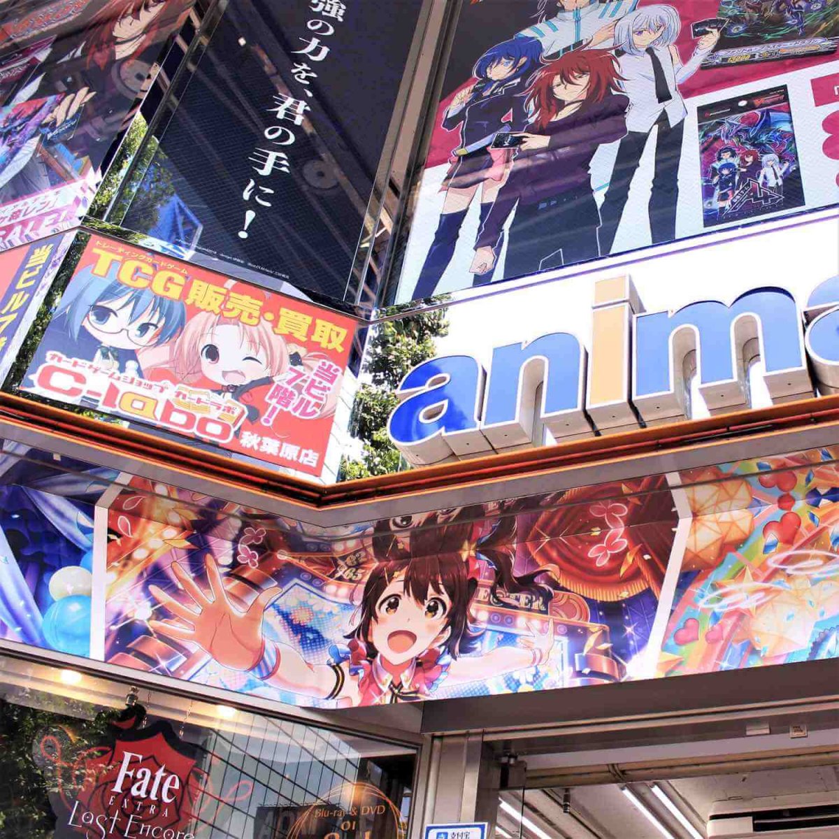 Wakura081 художник