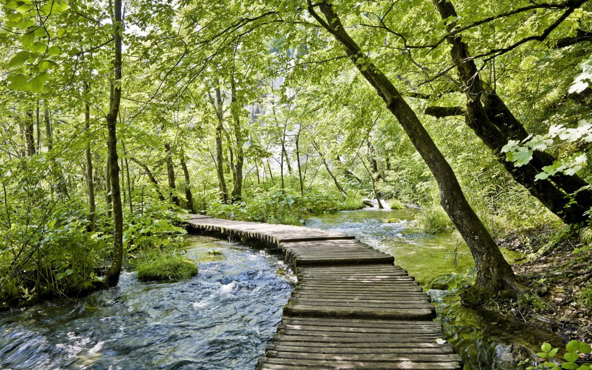 Весенние ручьи