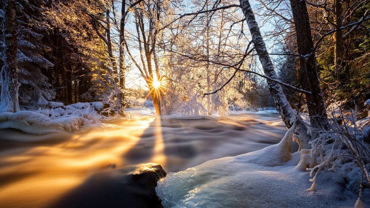 Ранняя зима солнце