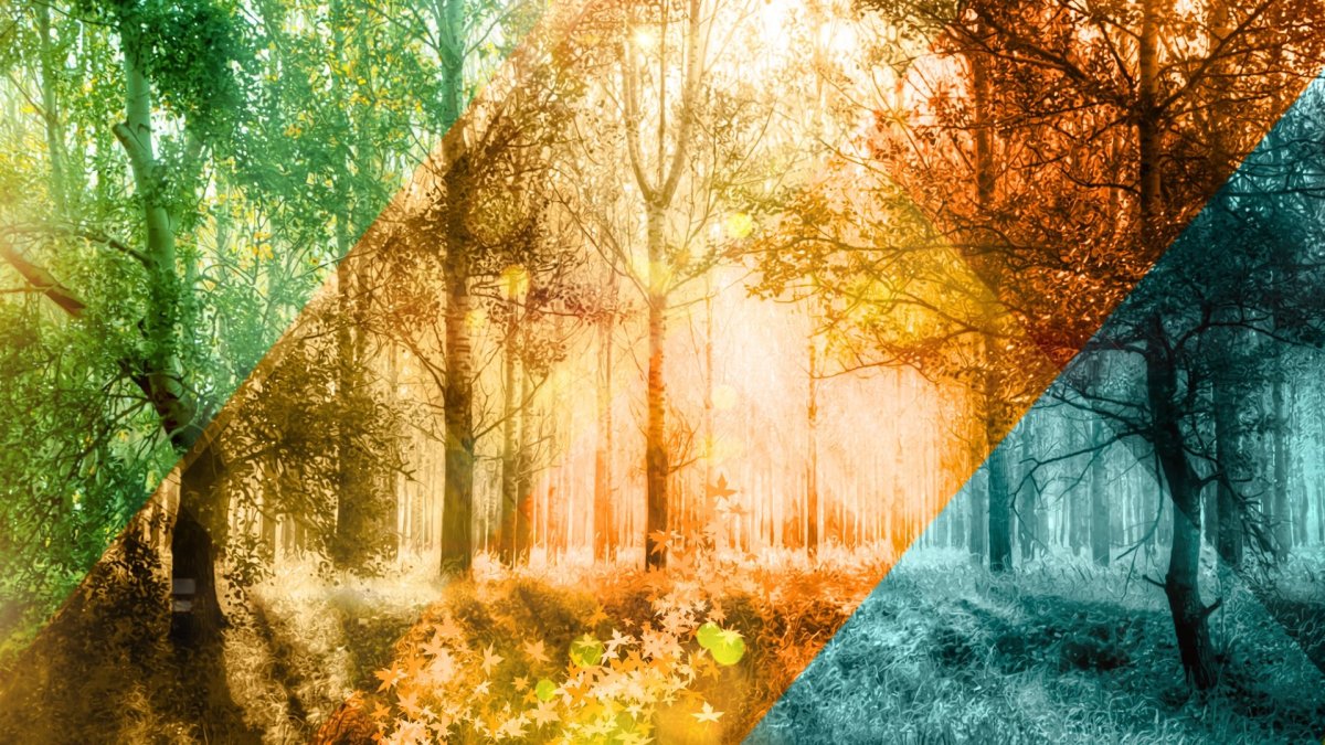 Времена года картинки