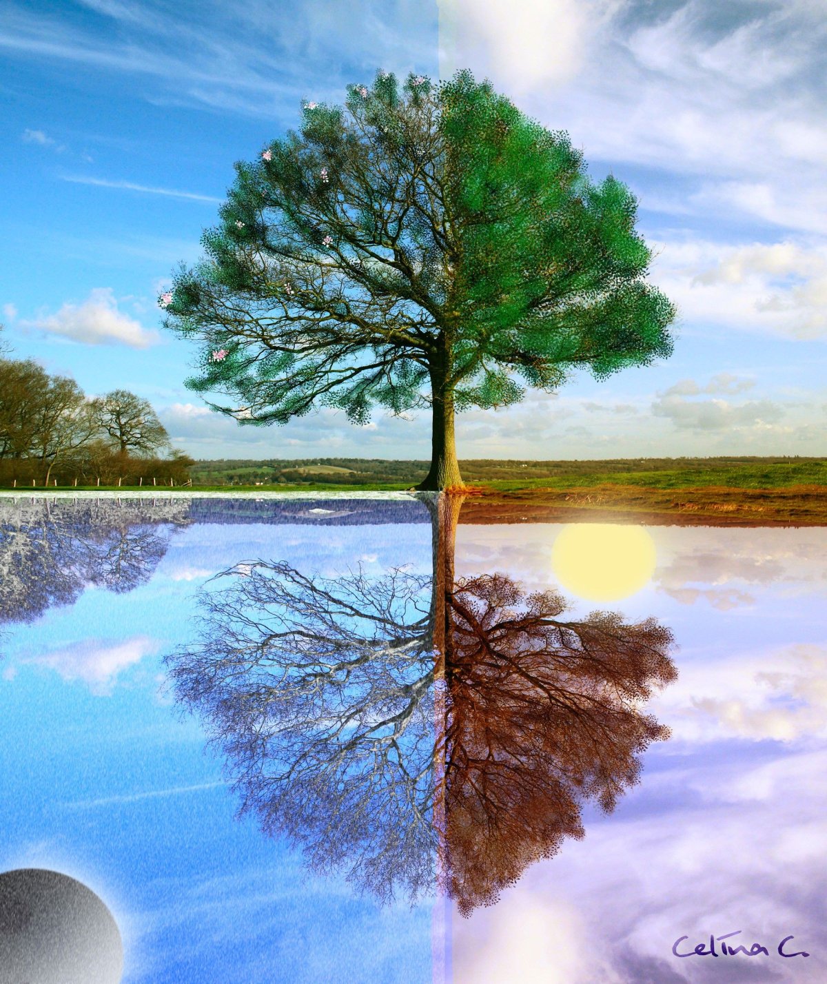 Фон времена года