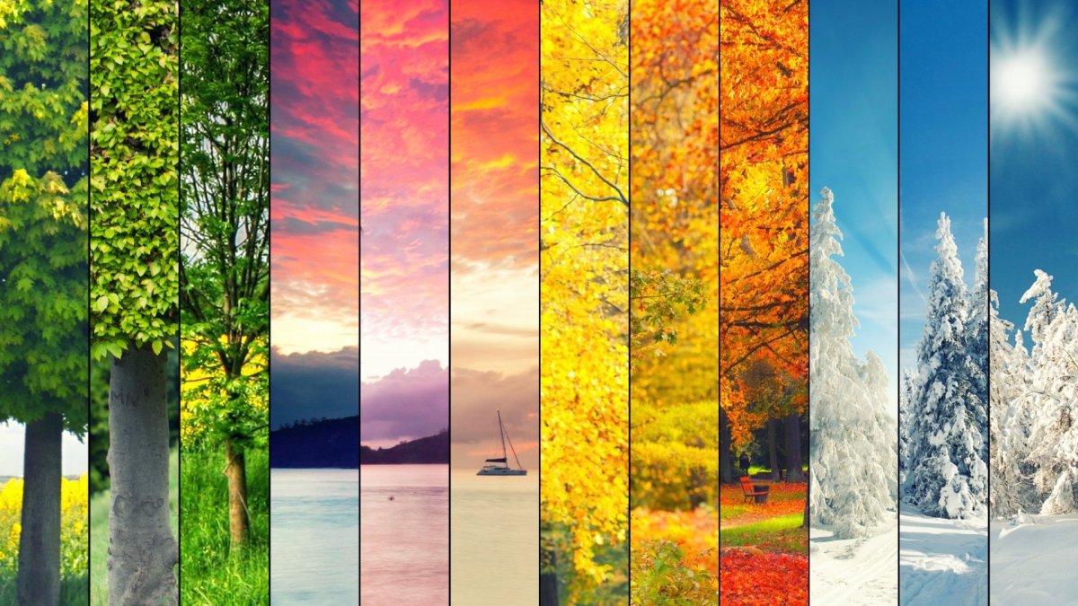 Пейзаж в Разное время года