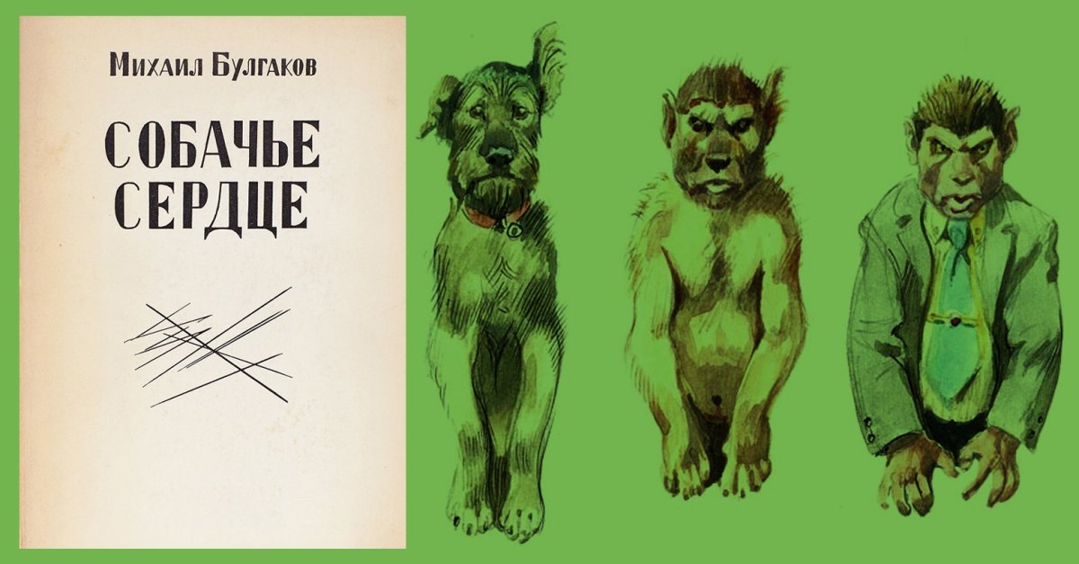 Собачье сердце Михаил Булгаков иллюстрации