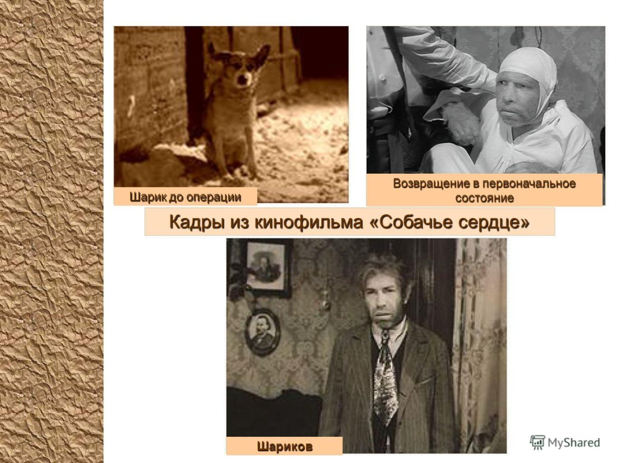 Профессор Преображенский и доктор Борменталь