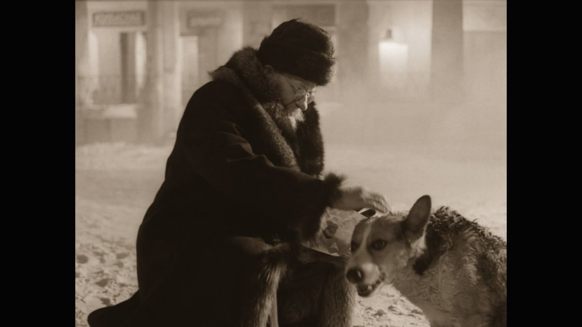 Булгаков Собачье сердце аудиокнига