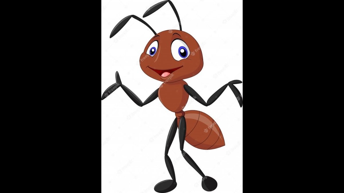 Муравей для детей распечатать цветной