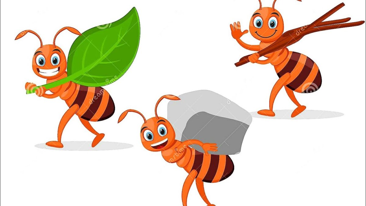 Муравей несет вектор