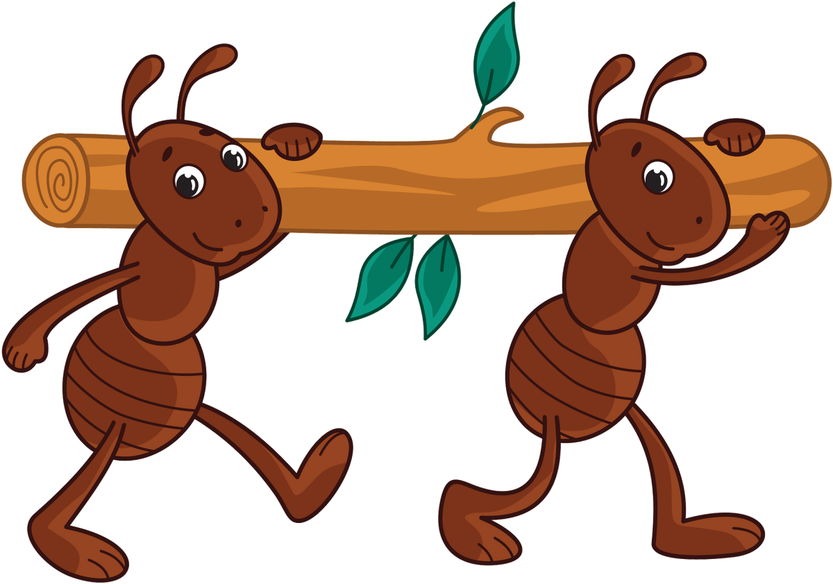 Муравьи мультяшные