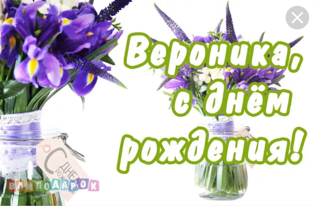С днем рождения Вероника стихи