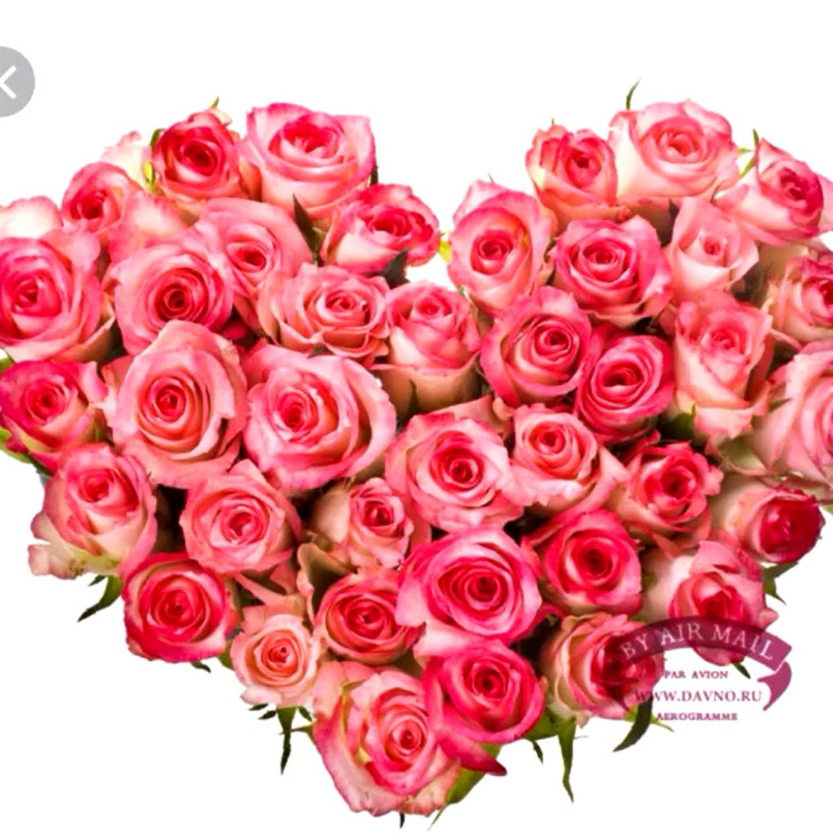 Вероника имя надпись