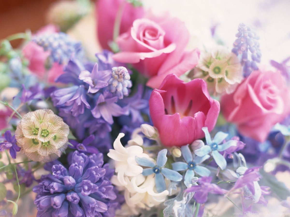 Верокику с днём рождения