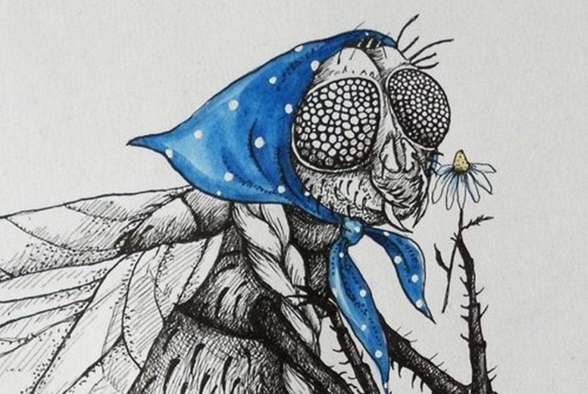 Мухи от Мартина Мура