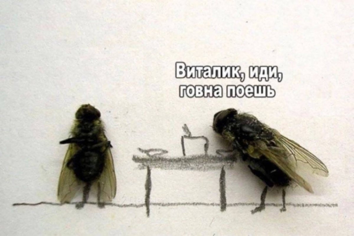 Больной которому Муха истоптала