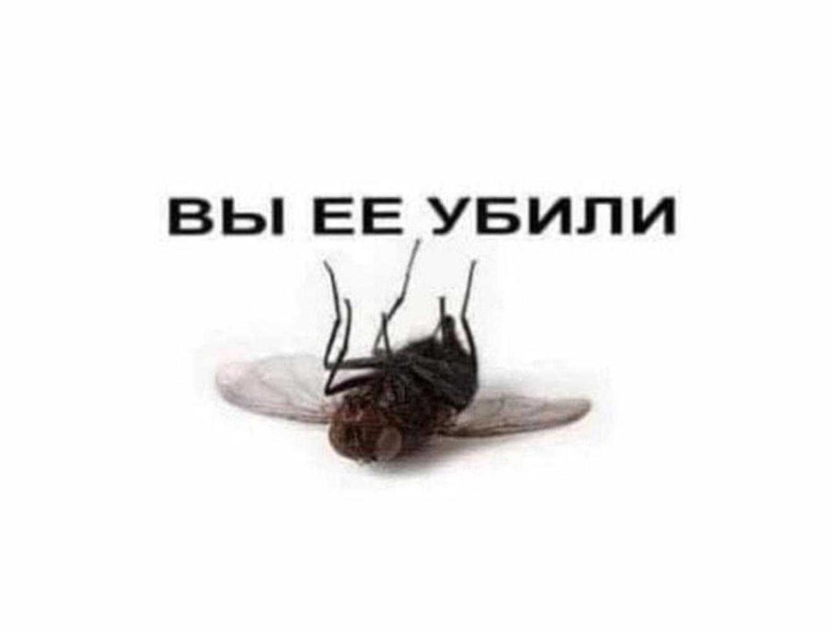 Муха на аву