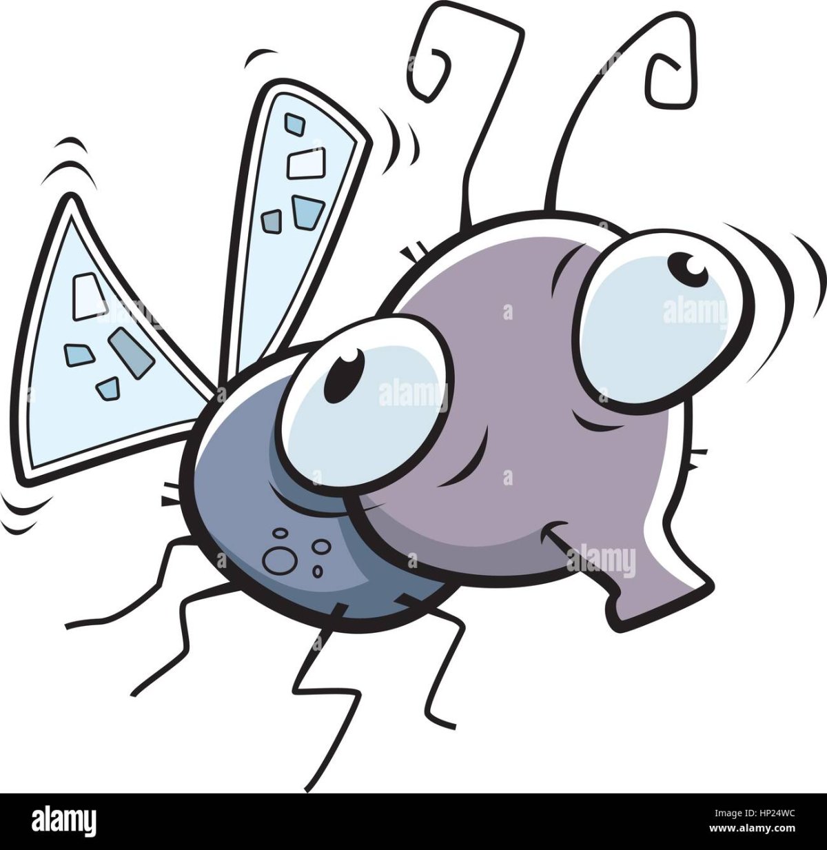 Надпись Муха