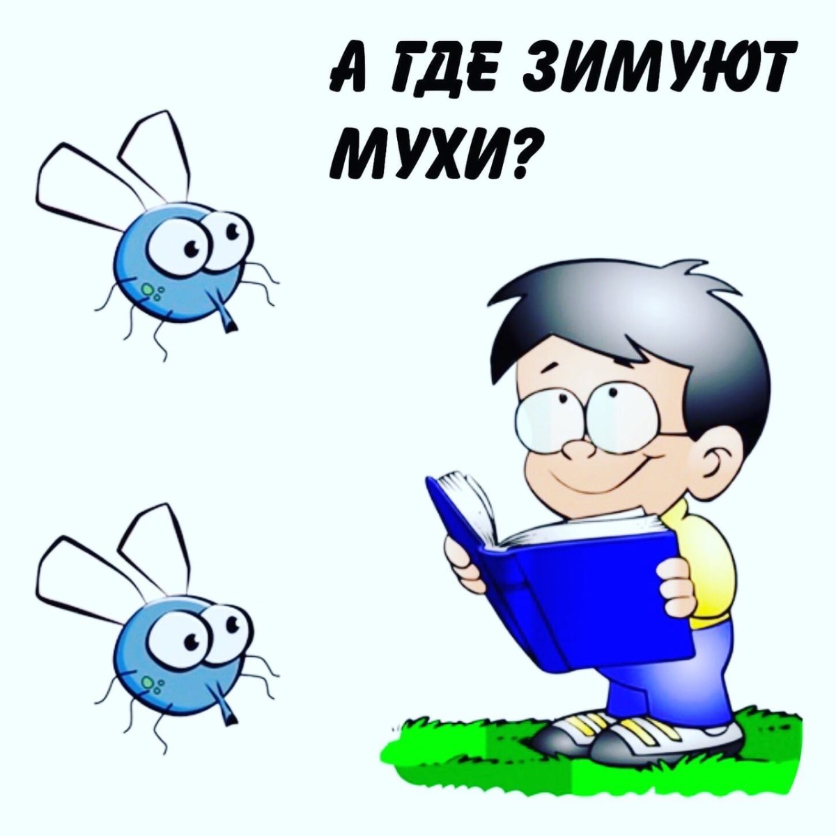 Магнус Мур и его мухи