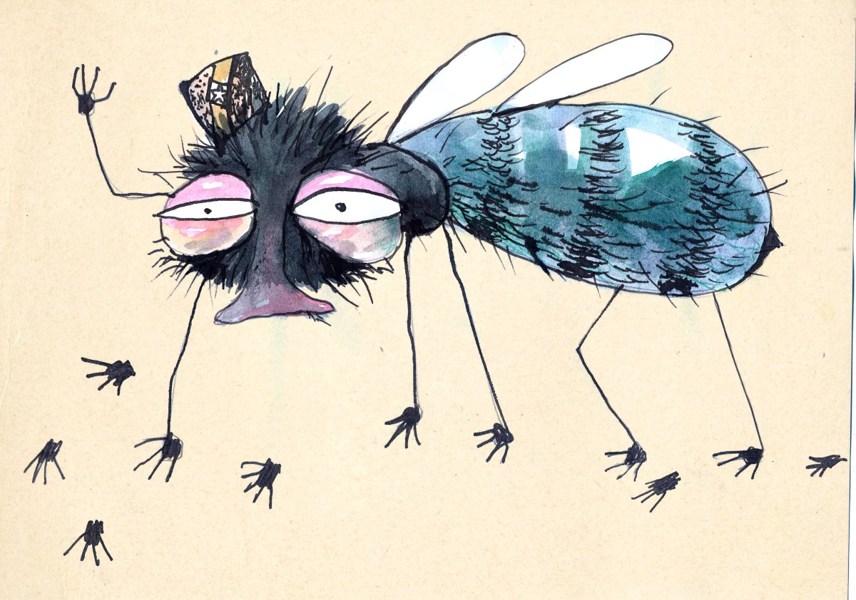 Сонная Муха рисунок