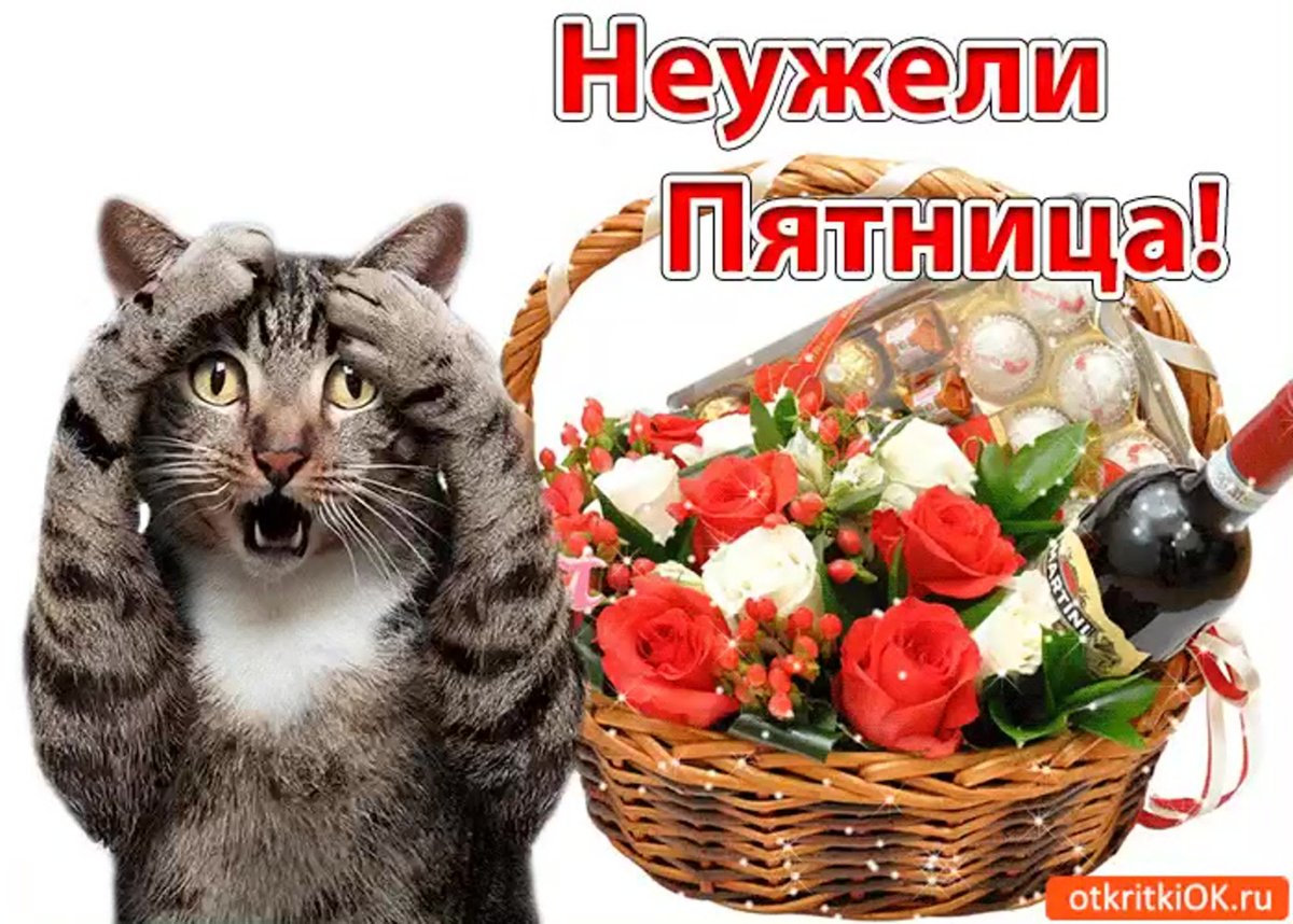 Открытки с субботой прикольные