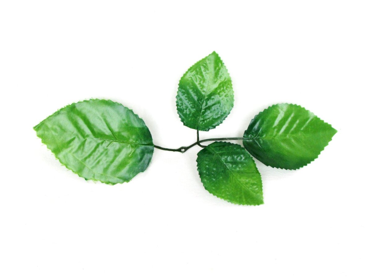 Листик розы