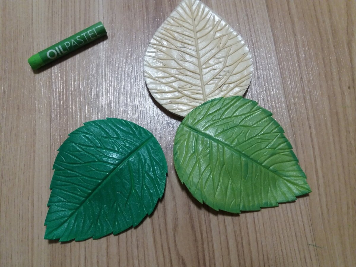 Веточка с листиками на прозрачном фоне