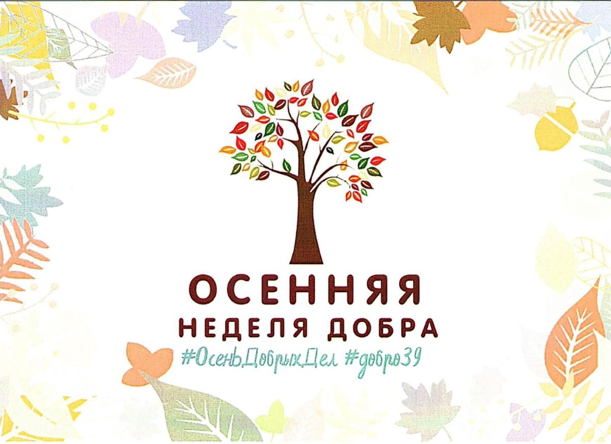 Разноцветное дерево