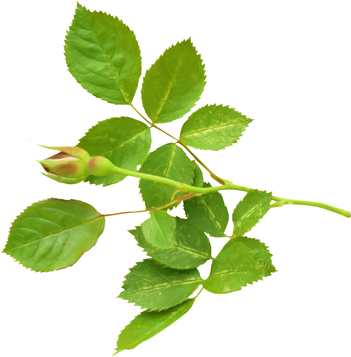 Листики для вырезания Скрапбукинг