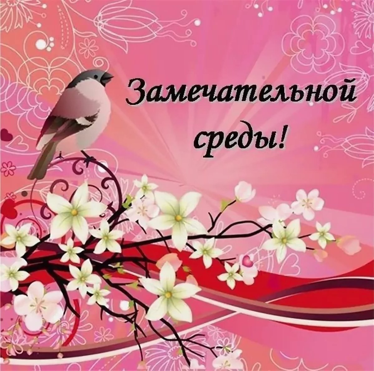 Открытки на среду с пожеланиями