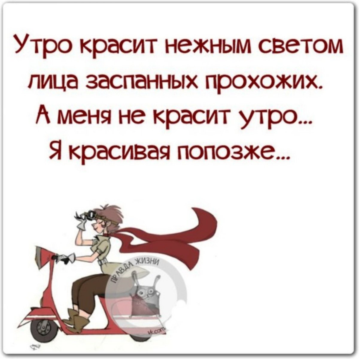 Красивые фразы о жизни с юмором