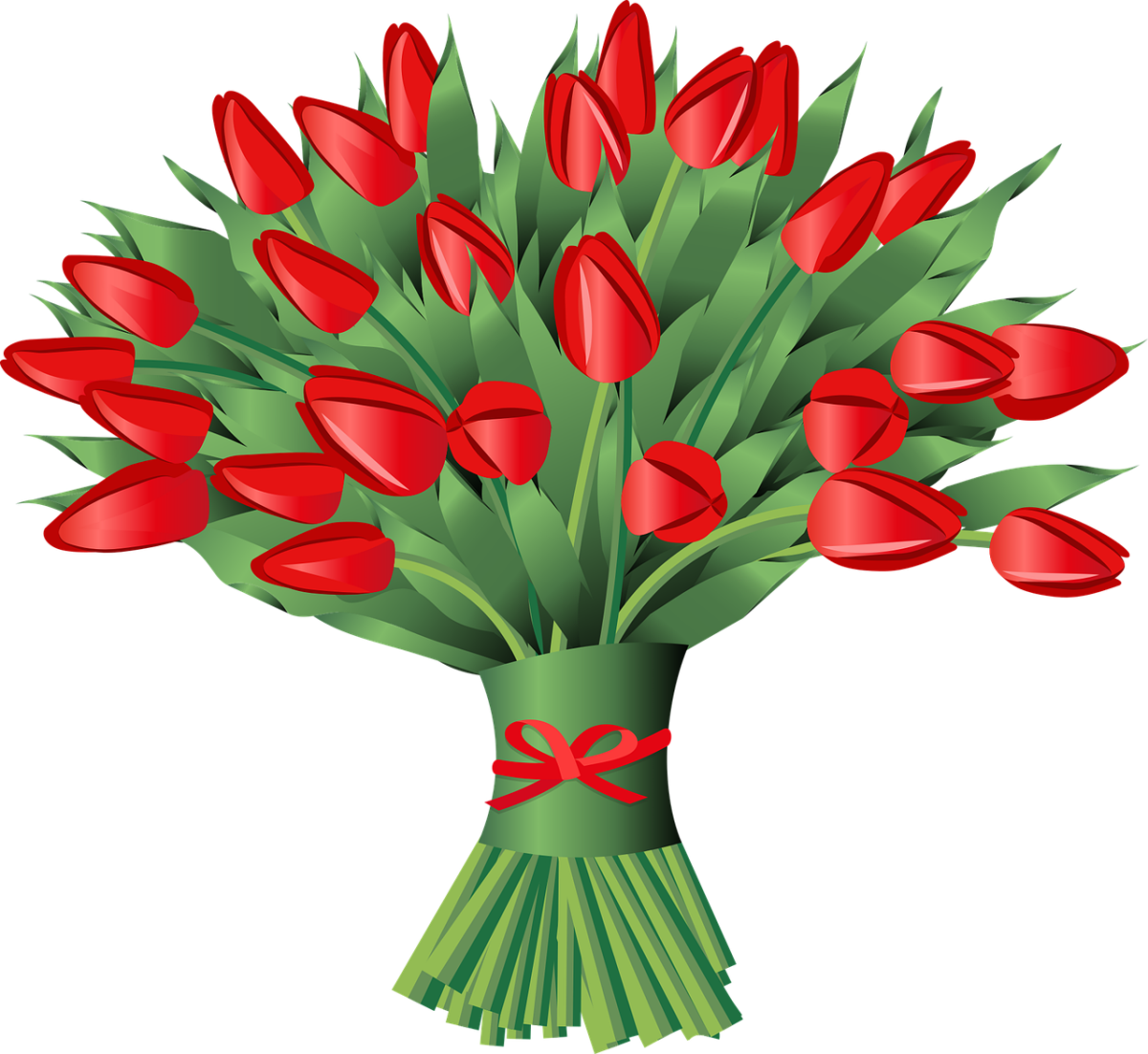 Тюльпаны в ряд без фона