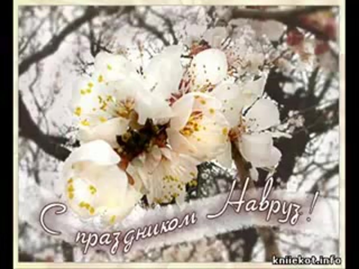 Наурыз мейрамы баннер