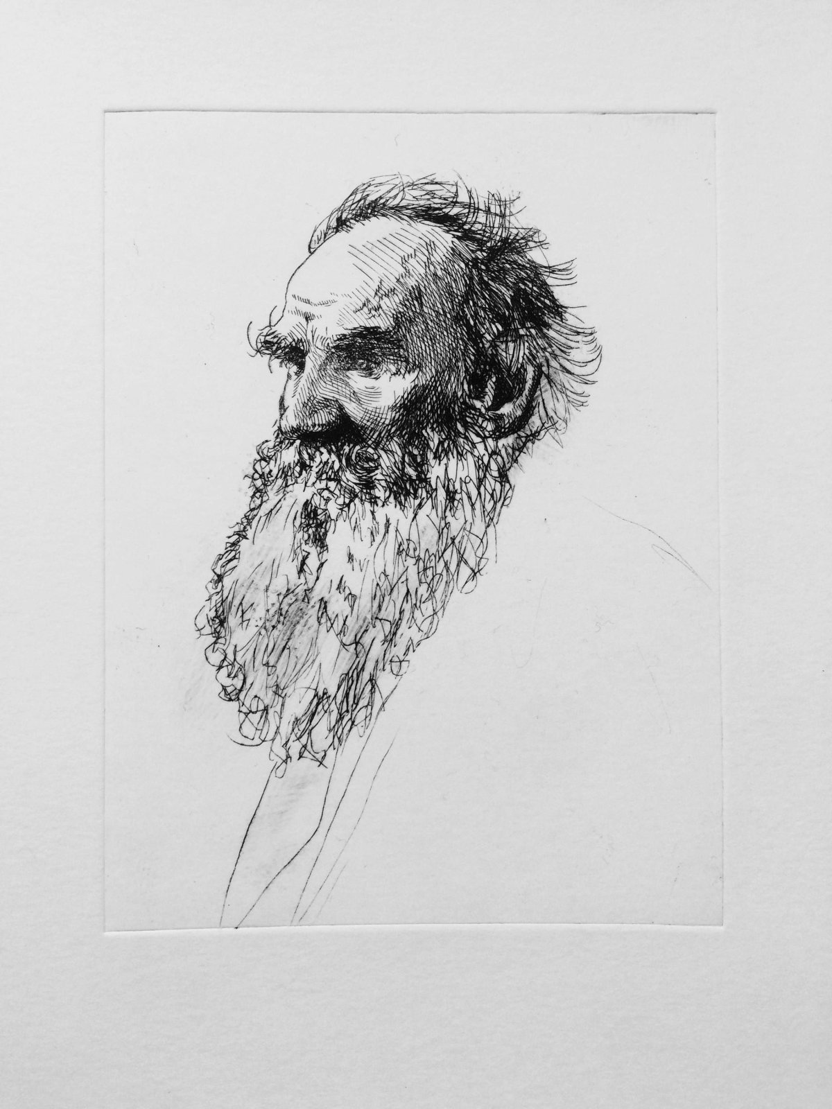 Портрет Льва Толстого карандашом